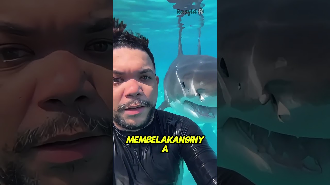 Apa yang Harus Dilakukan Jika Dihampiri Hiu Saat Menyelam? 🦈
