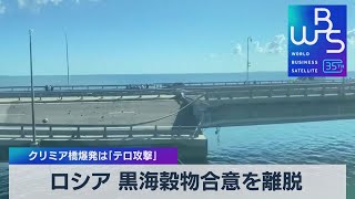 ロシア 黒海穀物合意を離脱　クリミア橋爆発は「テロ攻撃」【WBS】（2023年7月17日）