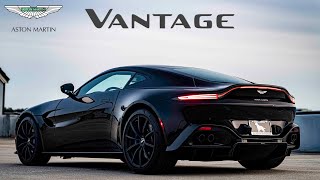 2020 Aston Martin Vantage: Andie the Lab Review!