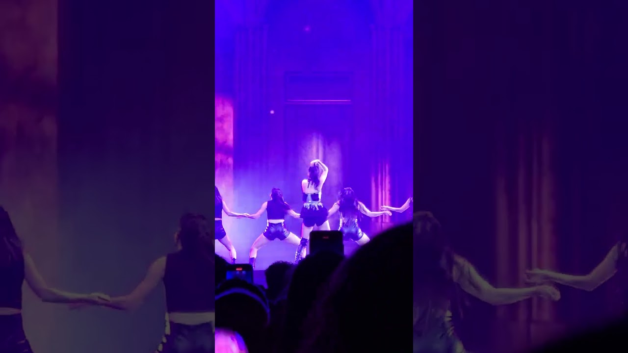 아이브 IVE - Woman Like Me Yujin Leeseo duet (Show What I Have Amsterdam 240613) [FANCAM HD]