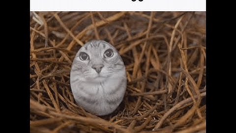 [60FPS] Freethrow by NukeIIX | Geometry Dash 2.207 | Hard