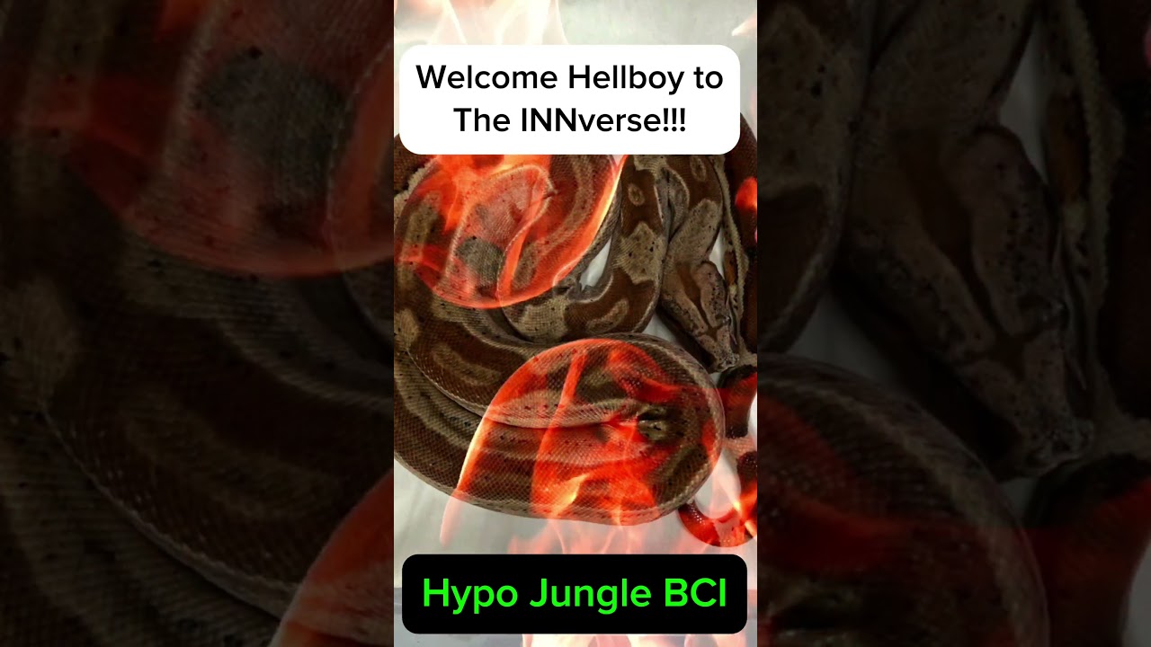 Welcome Hellboy to The INNverse 