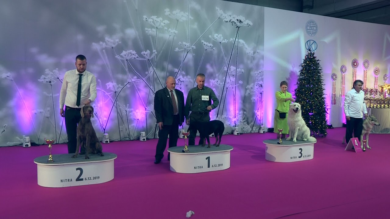 NITRAWA CUP 6.12.2019 Nitra