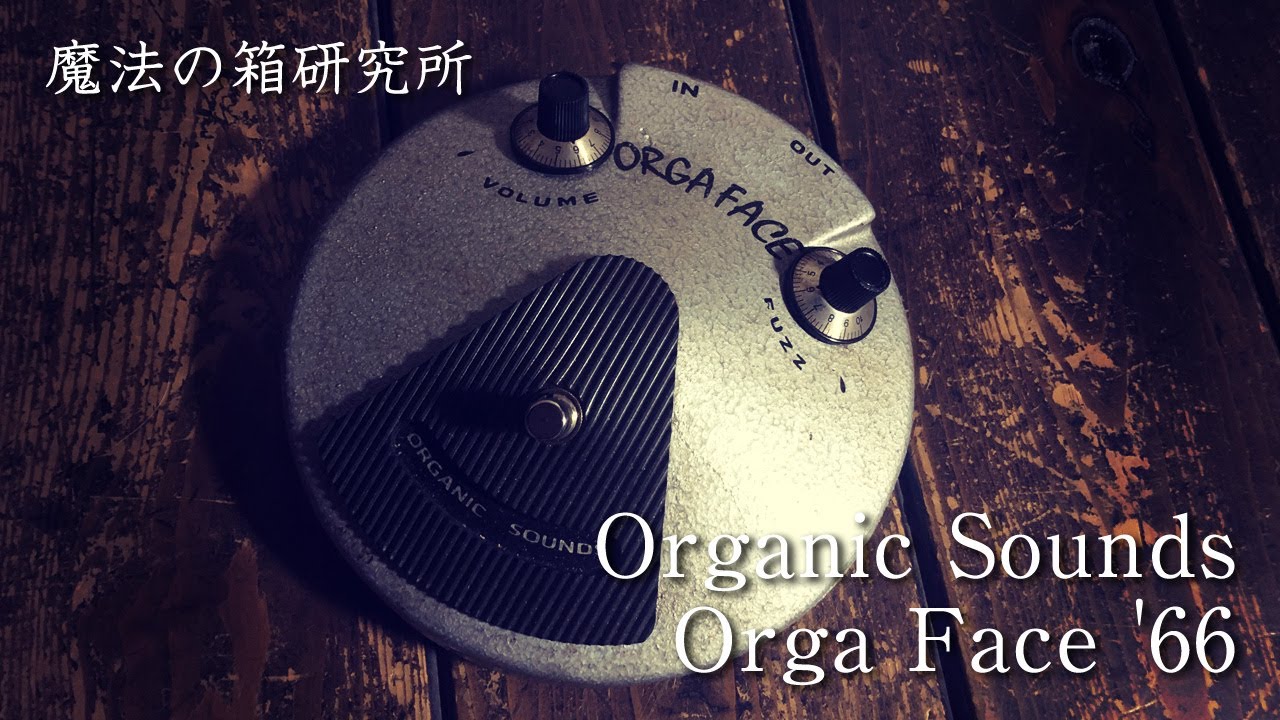Organic Sounds Orga Face '66 サウンドレビュー！ 【魔法の箱研究所】