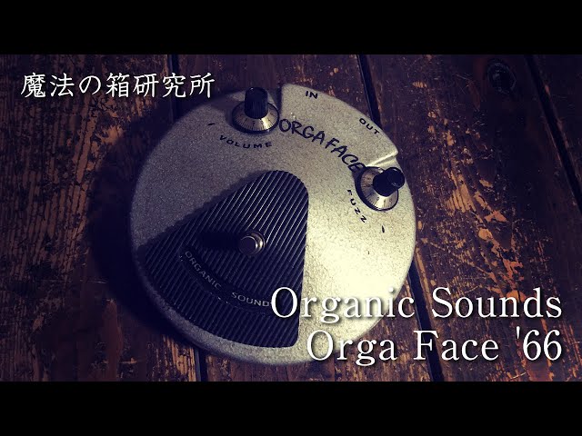 Organic Sounds Orga Face '66 サウンドレビュー！ 【魔法の箱研究