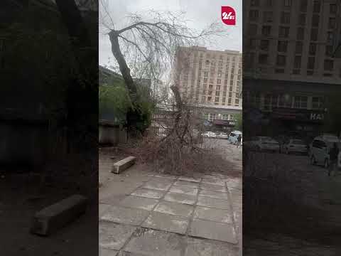 YouTube видео