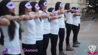 Sigma Lambda Gamma - Xi Chapter- Spring 2014 - Lambda Alpha Line