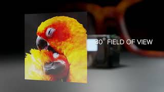 AG-30L2 - AR Glasses V4 1 - with LGE