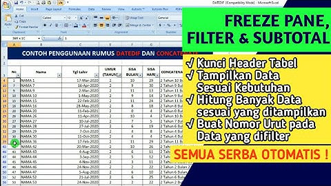 Contoh penggunaan Filter dan Subtotal di Excel | Tampilkan Data Tertentu dan Buat Nomor Otomatis