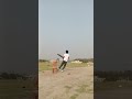 #cricket #music #cricketlover