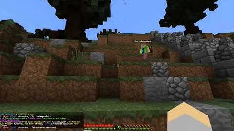 FellowBrewer hacking on Play.saicopvp.com