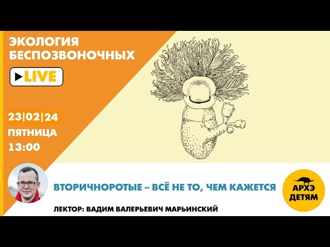 Занятие "Вторичноротые – всё не то, чем кажется" // Неурочные беспозвоночные // Вадим Марьинский