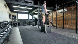 Dumbbell Suitcase Alternating Box Step Up