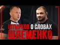 Иван Штырков о словах ШЛЕМЕНКО - Кто победит Мага или Шторм?