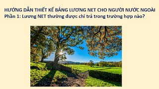 VD154_HD XD NET SALARY TABLE FOR FOREIGNERS_Part 1: In what cases is NET salary usually paid?