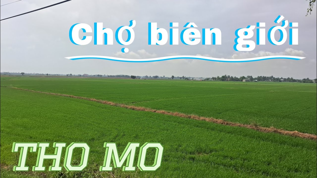 Khám Phá Chợ Vùng Biên Giới Xã Mỹ Quý Tây Huyện Đức Huệ Tỉnh Long An