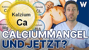 Was entzieht dem Körper Calcium?