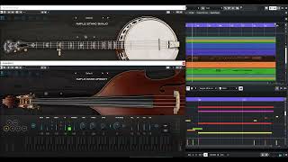 Ample Sound Ethno Banjo