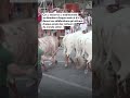 Les fêtes de San Fermin font 57 blessés #lapresse #espagne