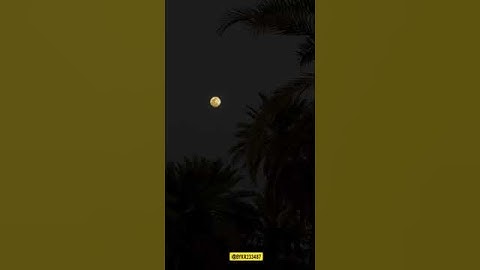 القرآن الكريم #القرآن_الكريم  ||Alquran Alkarm