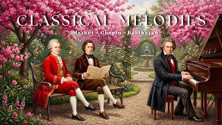30 Most Listened Classical Melodies (No Ads) 🌸 Chopin, Mozart, Beethoven, Bach | Relaxing, Healing