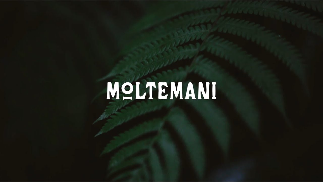 生産背景：奄美大島「泥染め / 染色」 – MOLTEMANI