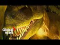 Dinosaur extinction: Belgian researchers reveal new groundbreaking discovery