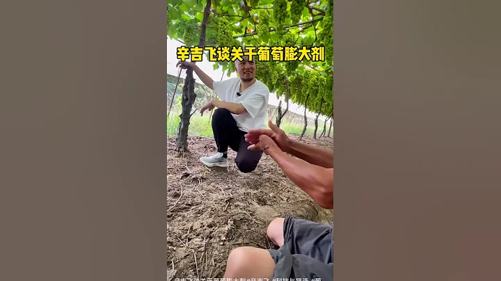 中國食品安全問題,水果也躲不過 - 天天要聞