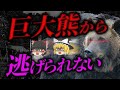 【身元が特定出来ないほどの損傷…】ヒグマに次々襲撃され、3名の大学生が死亡…福岡大学ワンダーフォーゲル部ヒグマ事件【ゆっくり解説】