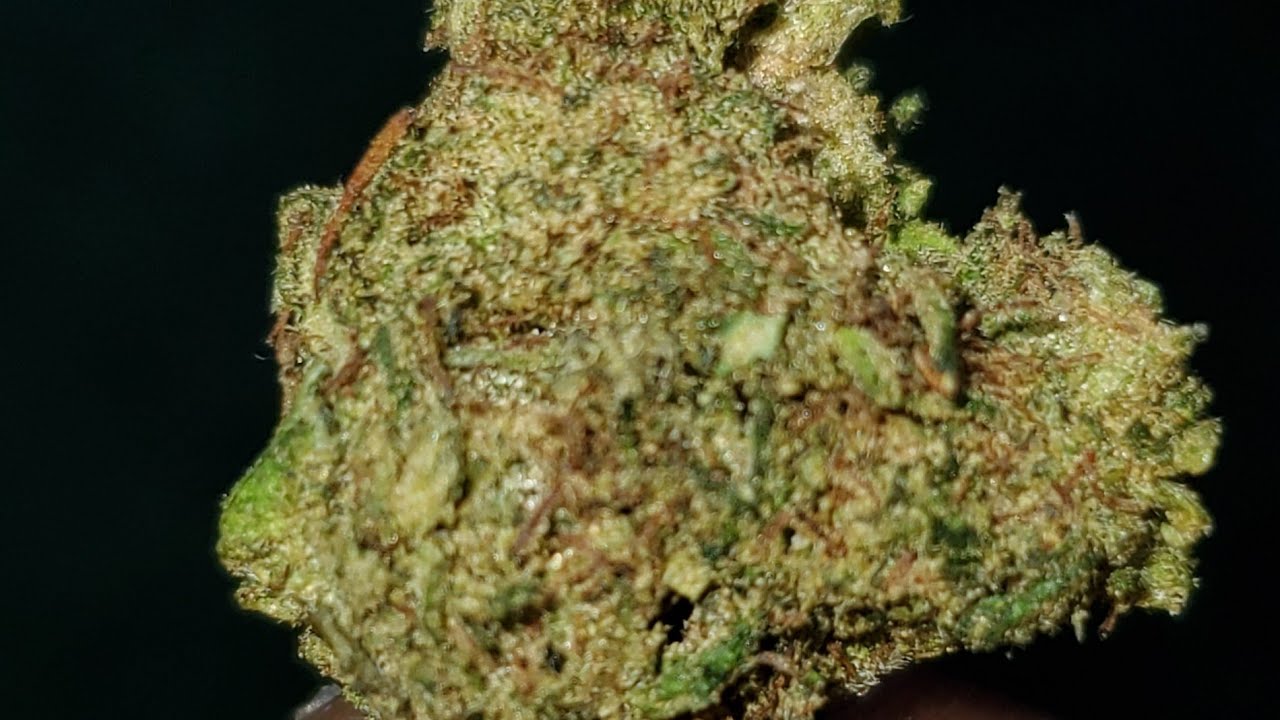 PURPLE CHEESE STRAIN WAKE AND BAKE STYLE