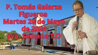 Martes 28 de mayo de 2024. Octava Semana T.O. Lo hemos dejado todo para seguirte.