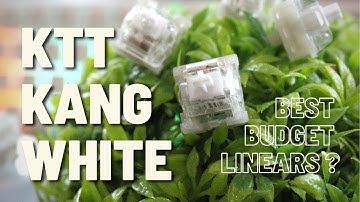 Budget THOCC | KTT Kang White Review and Sound Test