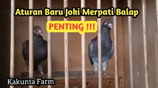 Trending || New Jockey Regulations for Pigeon Racing