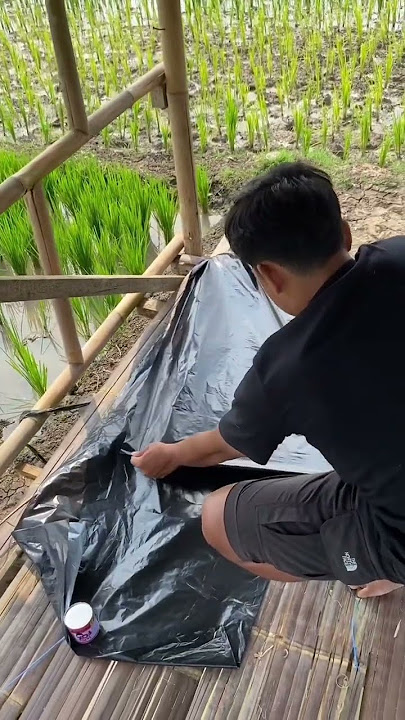 How to fly a kite #vlog #kite #fyp #viralvideo #viral #flying