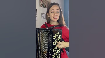 Roses on the Platform 🌹 #ukraniansong #accordion #folksong #singer #ukranianmusic
