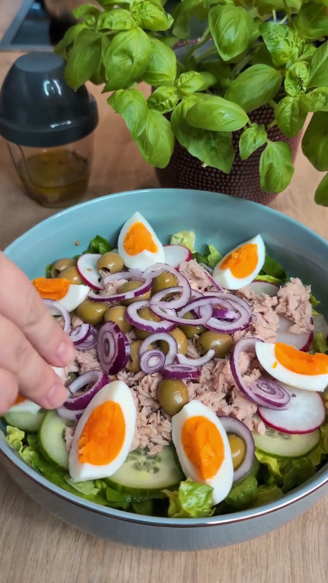 NIZZA SALAT - THUNFISCHSALAT - SALATA SA TUNJEVINOM #hanumakocht #nizza ...