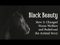 How Black Beauty Changed Horse Welfare and Redefined the Animal Story