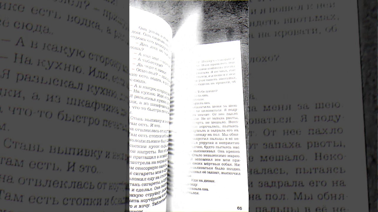 Издательства("Ил-music"; "Ноократия"; "Флюид"). Е.Алёхин,К. Рябов, З. Питич,Э. Лимонов,Р. Саледдин.