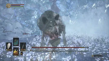 Dark Souls III - Champion's Gravetender & Greatwolf, SL1 [No Hit]