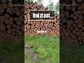 Wenn das Holz zur Last wird, sollte man was ändern!