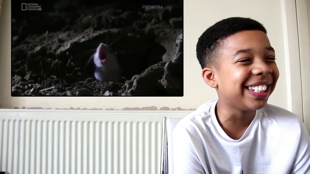 (CLEAN) Try not to LAUGH or GRIN || Best of Aftew (FUNNY)