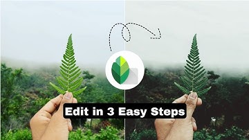 Moody Green Editing In SNAPSEED | 3 Easy Steps Editing in Snapseed | Editing tutorial