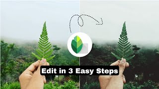 Moody Green Editing In SNAPSEED | 3 Easy Steps Editing in Snapseed | Editing tutorial screenshot 3