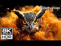 Mind-Blowing OLED Test Video | Dolby Vision HDR 8K 120 fps-Realistic TV Demo for OLED and QLED