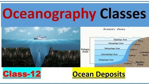 Ocean Deposits II Class-12 II Oceanography Classes II Geography II UGC NET, Assistant Professor II