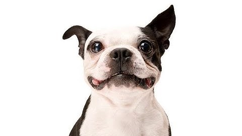 how 2 make moving background in ROBLOX STUDIO!!1?!1 (google drive in description)