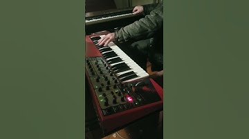 Carnival Funk 🎠 🎶🐒👁️ 👀 👉 thefullerzone.com 👈 💥📖🌐 Flash Fiction daily 355+ #piano #synth #funk #fun 🥳