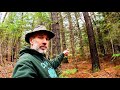 Off Grid Property Tour | Managing the Forest for Wildlife and Food