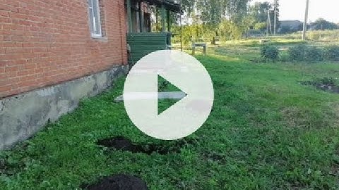 Как поймать крота Самый эффективный способ Работает на 100% (How to catch a mole)