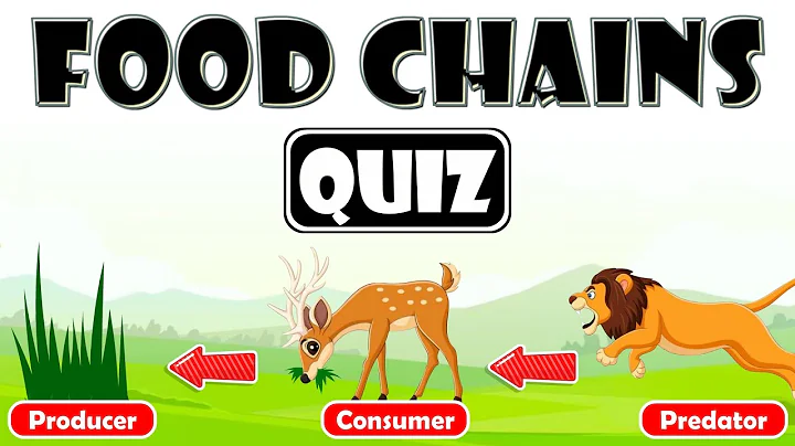 Food Chains Quiz for Kids | Exploring Energy Flow in Ecosystems | Roles of Organisms in Food Chains